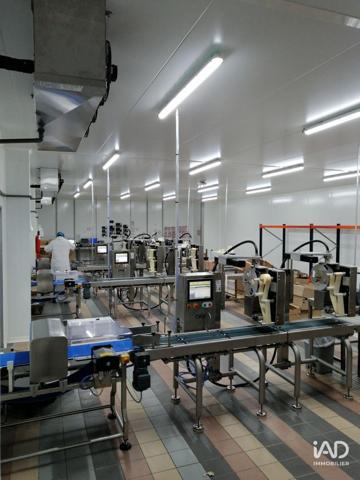Murs commerciaux  à vendre 1 610 m² Forges-les-Eaux