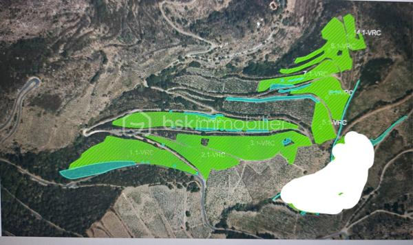 Terrain viticole de 47 000 m²