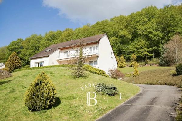 Malzéville, Maison  265 m² à vendre