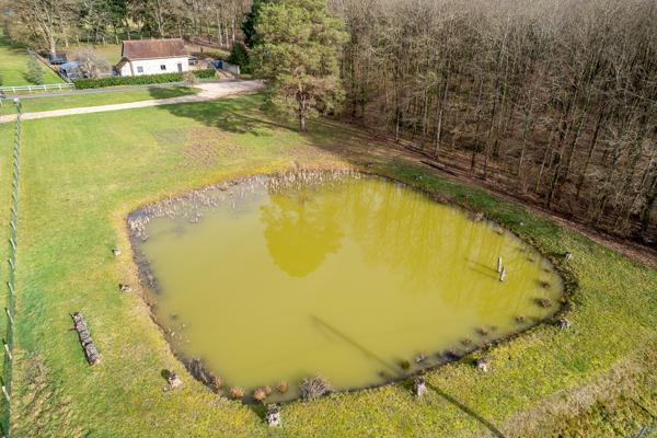 Terrain constructible - Thenioux, avec un étang - 4322 m²  -