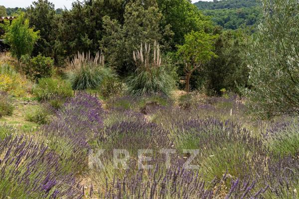 GORDES _  EXCLUSIVITÉ_ MAS EN PIERRE D'EXCEPTION  DE 317 M2 _ 4 HECTARES _ VUE PANORAMIQUE