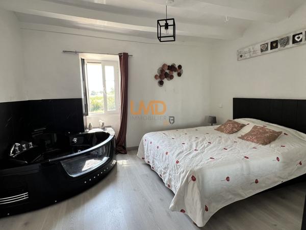 Typique Mas en pierre avec piscine et dépendances