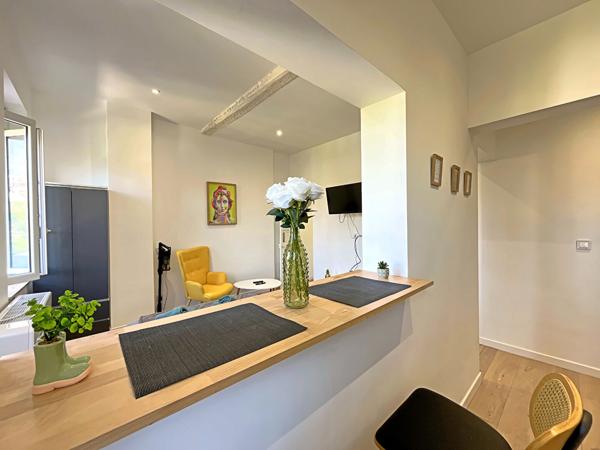 TOULOUSE - SUD GUILHEMERY - studio de 25,58 m² lumineux avec climatiseur , Toulouse