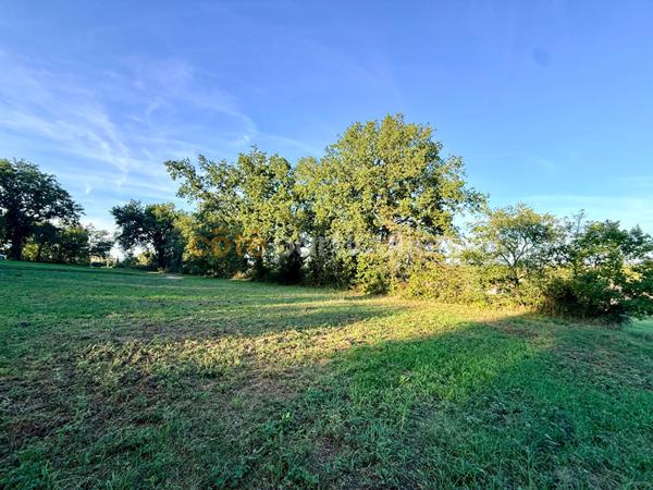 Vente Terrain1075 m² - SAINT PAUL CAP DE JOUX (81220)