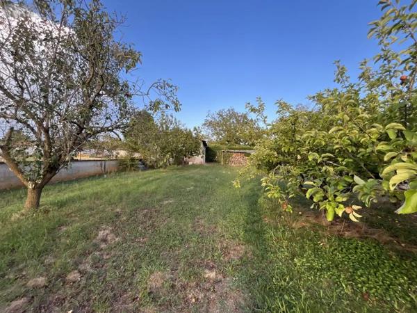 Achat - Terrain à bâtir Saint-Maurice-de-Gourdans 01800 753 m 2