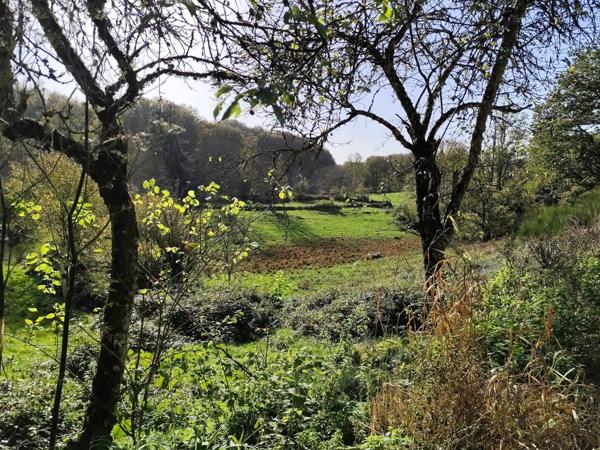 Maison de 250m² - 9 pièces