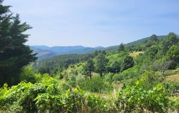 Vente Maison Les vans   