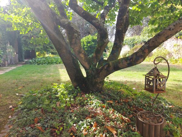 Maison de maitre au cœur du bourg