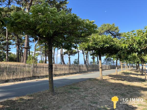 Votre recherche de biens