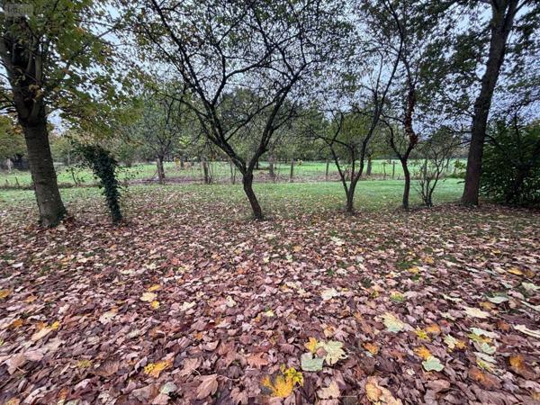 Domaine agricole à vendre à Noyal-Châtillon-sur-Seiche en Ille-et-Vilaine (35230), ref : 35129-6749