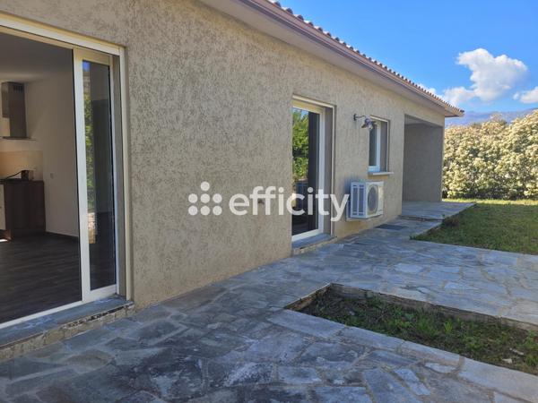 Appartement 10 pièces - 243 m²