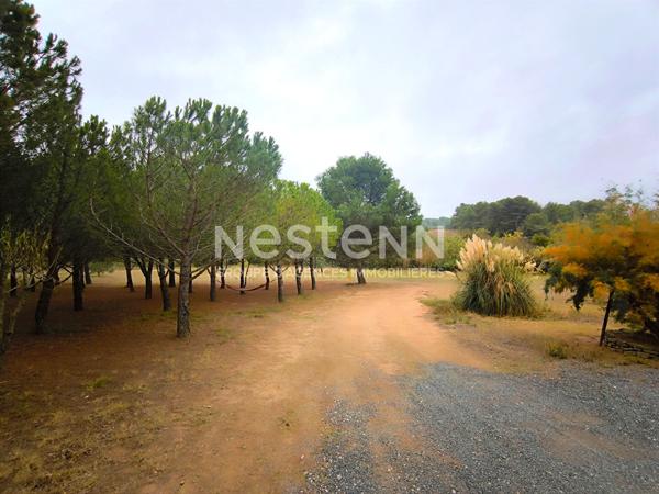 Propriété 150 m² corps de ferme rénové terrain 1,5 ha oliviers proche Carcassonne Trèbes atelier 25 m² environnement calme