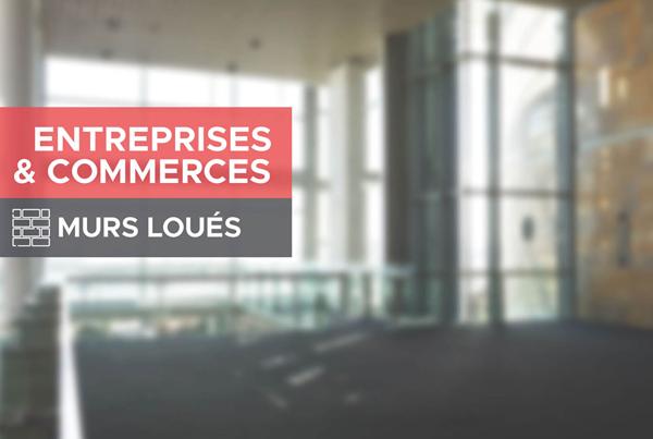 Immeuble commercial loué 1 000 m² Rentabilité attractive Emplacement n°1