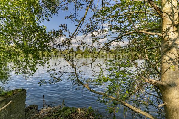 VILLENNES SUR SEINE - ILE PRIVEE - MAISON 150 M² - 4 CHAMBRES - TERRAIN 1500 M² - VERANDA - BOX -