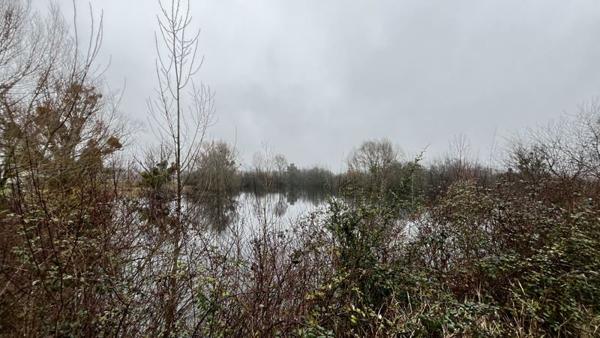 Terrain à vendre |  Noyers-sur-Cher |  17737 m²