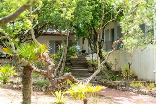 Vue sur les dunes et l'océan ! Une proposition rare à Saint Georges d'Oléron.