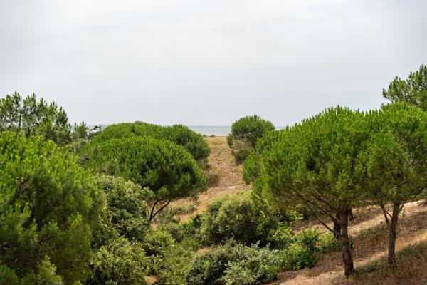 Vue sur les dunes et l'océan ! Une proposition rare à Saint Georges d'Oléron.