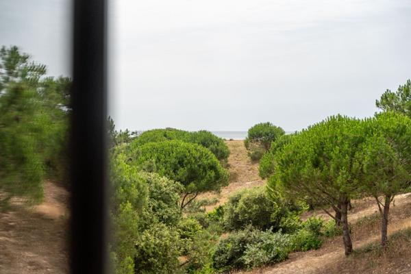 Vue sur les dunes et l'océan ! Une proposition rare à Saint Georges d'Oléron.
