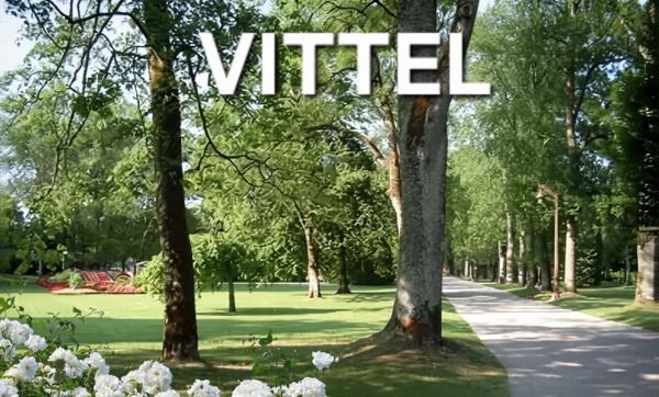 MAISON à vendre VITTEL (88) Possibilité création 2 appartements T2 et T3 avec TERRAIN de 400 m2 + TERRAIN de 1973 m2