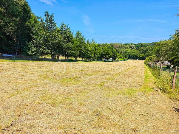 À Émancé, à proximité de Rambouillet, découvrez un terrain rare, élégant et préservé, offrant un cadre de vie particulièrement recherché pour construire une maison familiale dans un environnement calme, naturel et exceptionnel sans vis-à-vis.

Situé en retrait de la rue, ce superbe terrain à bâtir de 2 286 m² séduit immédiatement par son atmosphère paisible, son absence totale de vis-à-vis et son environnement boisé. Dès l’arrivée sur place, on ressent le potentiel du lieu : un espace ouvert, plat, lumineux, facile à aménager, où il devient simple d’imaginer une belle maison, une terrasse plein sud, un jardin paysager et une vie tournée vers la tranquillité. Le terrain bénéficie d’une très belle exposition, avec une façade arrière orienté plein sud. Cette orientation offre une luminosité naturelle remarquable tout au long de la journée, idéale pour concevoir une maison agréable, chaleureuse et parfaitement tournée vers ses extérieurs.

Classé en zone UBh du Plan Local d’Urbanisme, ce terrain profite d’un règlement d’urbanisme particulièrement favorable et souple. Le PLU permet d’envisager un très beau projet de construction, avec une maison de plain-pied aux volumes généreux, une habitation avec combles aménageables ou une construction en R+1. L’emprise au sol autorisée de 20 % sur la partie urbaine offre de belles possibilités architecturales, jusqu’à 159 m² emprise au sol soit 318 m² de surface plancher habitable.
Autre atout majeur : le terrain est libre de tout constructeur et n’est pas situé en secteur Bâtiments de France. Vous conservez ainsi une grande liberté dans le choix de votre constructeur, de votre style architectural et de l’aménagement de votre future propriété.

Le terrain est plat, clos sur deux belles longueurs, sans arbre à abattre ni démolition à prévoir. L’eau et le tout-à-l’égout sont déjà présents. Les raccordements à l’électricité et à la fibre haut débit seront à prévoir et resteront à la charge de l’acquéreur.

Ce terrain s’adresse aux acquéreurs recherchant bien plus qu’une simple parcelle : un véritable lieu de vie, calme, lumineux, sans vis-à-vis, dans un environnement naturel de grande qualité, tout en restant proche de Rambouillet et des commodités environnantes.

Une opportunité rare pour réaliser une belle construction familiale dans un cadre privilégié
Pour tout renseignement complémentaire ou pour organiser une visite, contactez-moi. Ce terrain mérite d’être découvert sur place afin d’en apprécier pleinement le calme, l’exposition, l’environnement exceptionnel et le très beau potentiel de construction.