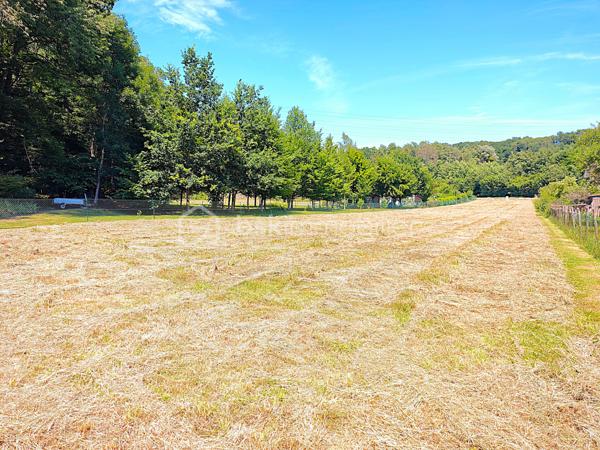 À Émancé, à proximité de Rambouillet, découvrez un terrain rare, élégant et préservé, offrant un cadre de vie particulièrement recherché pour construire une maison familiale dans un environnement calme, naturel et exceptionnel sans vis-à-vis.

Situé en retrait de la rue, ce superbe terrain à bâtir de 2 286 m² séduit immédiatement par son atmosphère paisible, son absence totale de vis-à-vis et son environnement boisé. Dès l’arrivée sur place, on ressent le potentiel du lieu : un espace ouvert, plat, lumineux, facile à aménager, où il devient simple d’imaginer une belle maison, une terrasse plein sud, un jardin paysager et une vie tournée vers la tranquillité. Le terrain bénéficie d’une très belle exposition, avec une façade arrière orienté plein sud. Cette orientation offre une luminosité naturelle remarquable tout au long de la journée, idéale pour concevoir une maison agréable, chaleureuse et parfaitement tournée vers ses extérieurs.

Classé en zone UBh du Plan Local d’Urbanisme, ce terrain profite d’un règlement d’urbanisme particulièrement favorable et souple. Le PLU permet d’envisager un très beau projet de construction, avec une maison de plain-pied aux volumes généreux, une habitation avec combles aménageables ou une construction en R+1. L’emprise au sol autorisée de 20 % sur la partie urbaine offre de belles possibilités architecturales, jusqu’à 159 m² emprise au sol soit 318 m² de surface plancher habitable.
Autre atout majeur : le terrain est libre de tout constructeur et n’est pas situé en secteur Bâtiments de France. Vous conservez ainsi une grande liberté dans le choix de votre constructeur, de votre style architectural et de l’aménagement de votre future propriété.

Le terrain est plat, clos sur deux belles longueurs, sans arbre à abattre ni démolition à prévoir. L’eau et le tout-à-l’égout sont déjà présents. Les raccordements à l’électricité et à la fibre haut débit seront à prévoir et resteront à la charge de l’acquéreur.

Ce terrain s’adresse aux acquéreurs recherchant bien plus qu’une simple parcelle : un véritable lieu de vie, calme, lumineux, sans vis-à-vis, dans un environnement naturel de grande qualité, tout en restant proche de Rambouillet et des commodités environnantes.

Une opportunité rare pour réaliser une belle construction familiale dans un cadre privilégié
Pour tout renseignement complémentaire ou pour organiser une visite, contactez-moi. Ce terrain mérite d’être découvert sur place afin d’en apprécier pleinement le calme, l’exposition, l’environnement exceptionnel et le très beau potentiel de construction.