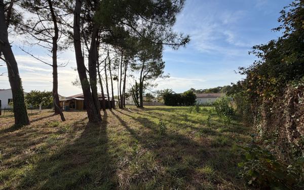 Terrain à vendre