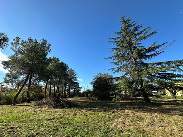 Terrain Buzet Sur Tarn 737 m²
