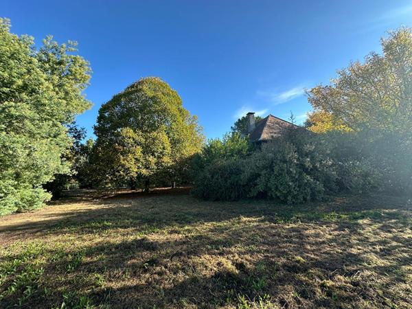 Terrain Buzet Sur Tarn 737 m²