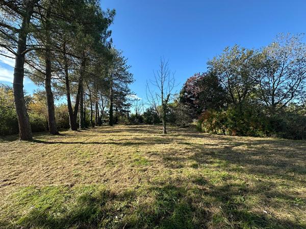 Terrain Buzet Sur Tarn 737 m²