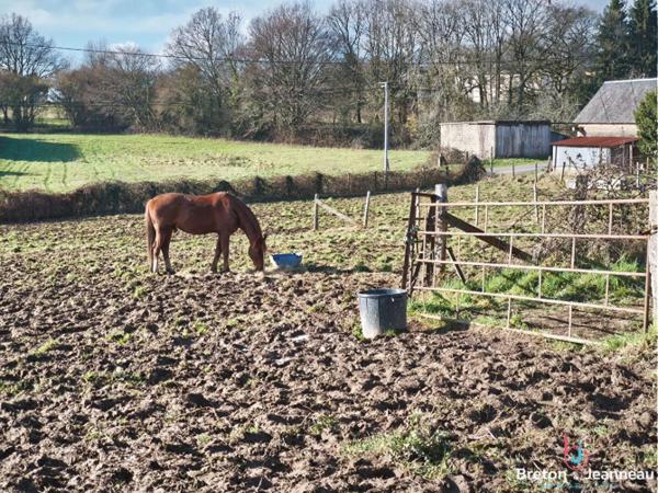 Propriété sur plus de 4 ha secteur Villaines la Juhel