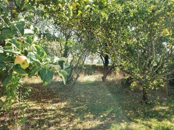 Maison à vendre à Riantec dans le Morbihan (56670), ref : 56039-1295