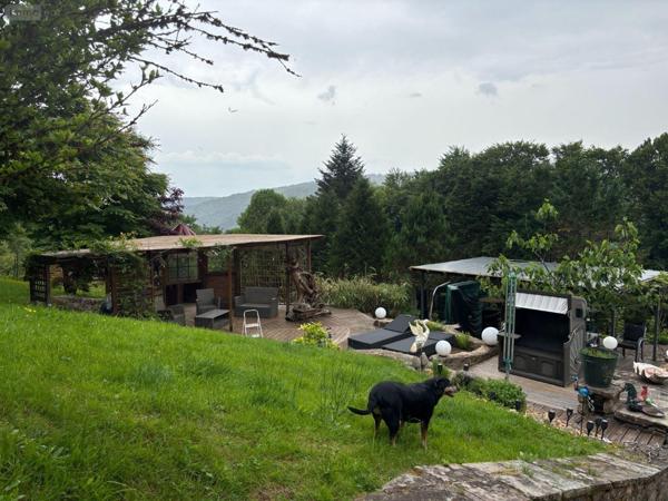 Ferme à vendre à Le Val-d'Ajol dans les Vosges (88340), ref : 14815/202500360   
Chaume