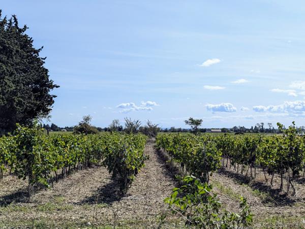 Camaret-sur-Aigues (84850) À découvrir : Magnifique mas avec fort potentiel – Environ 320 m² habitables