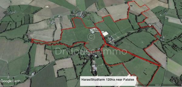 Hôtel particulier à vendre 12 pièces de 555 m²