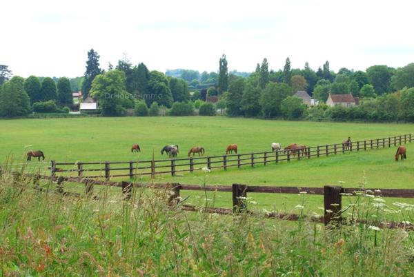 Hôtel particulier à vendre 12 pièces de 555 m²
