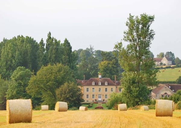 Hôtel particulier à vendre 12 pièces de 555 m²