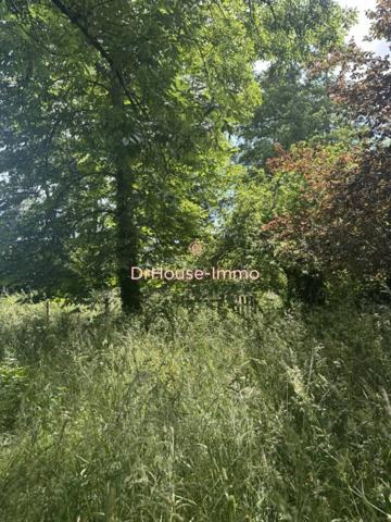 Terrain à vendre de 1 000 m²