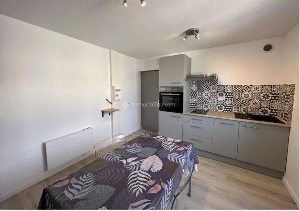 Location Appartement 2 pièces 24 m2 à Carmaux