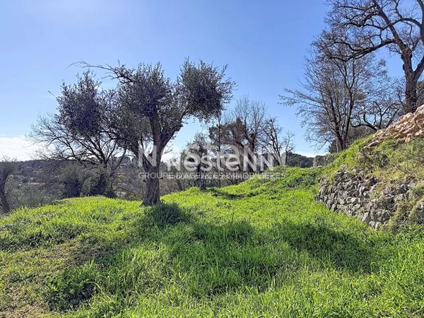Terrain constructible 1788m2 - exposé plein sud - Roquefort les pins