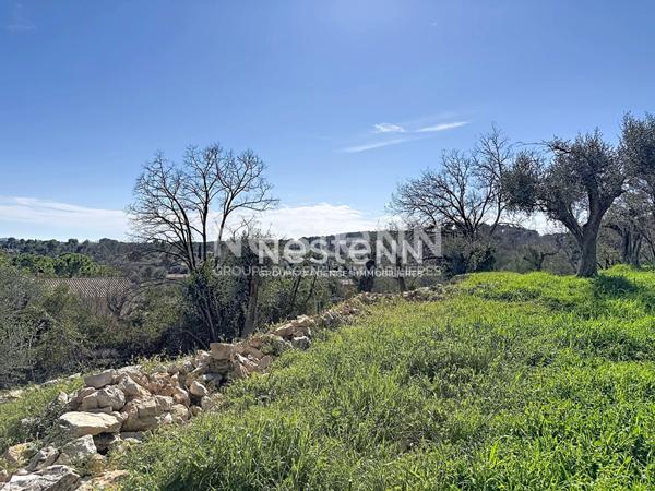 Terrain constructible 1788m2 - exposé plein sud - Roquefort les pins