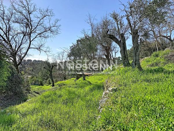 Terrain constructible 1788m2 - exposé plein sud - Roquefort les pins