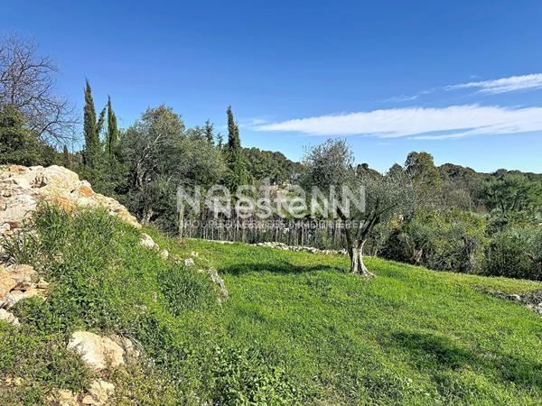 Terrain constructible 1788m2 - exposé plein sud - Roquefort les pins