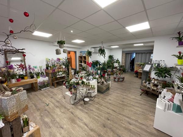 Vente Immeuble635 m² - 3 Pièces - FREVENT (62270)