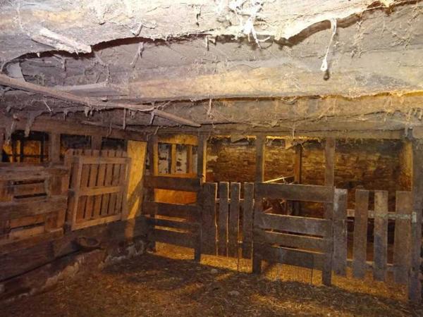 SECTEUR DOURNAZAC ENSEMBLE IMMOBILIER DE DEUX HABITATIONS AVEC DEUX BELLES GRANGES ATTENANTES ET UNE DEPENDANCE AVEC FOUR A PAIN A RENOVER EN TOTALITE