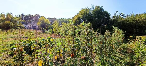 Maison à COGNAC, 16100 - 3 pièces 56m²