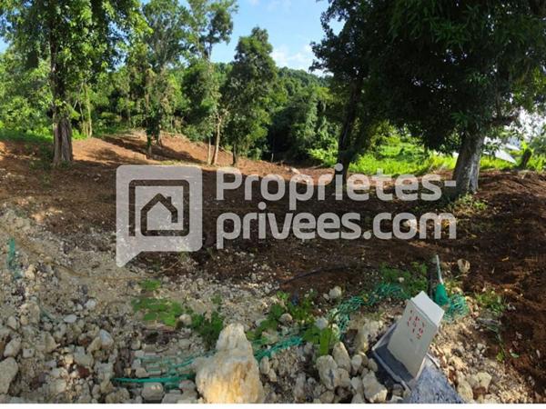 Terrain Petit Bourg 1000 m2