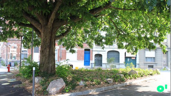 STUDIO PROCHE UNIVERSITÉS ET GRANDES ÉCOLES – LILLE CORMONTAIGNE