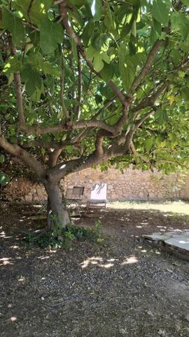 Maison de charmes en pierres