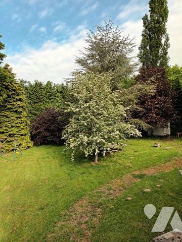 Maison 21 pièces 354 m² avec terrain 5450 m²