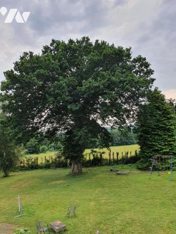 Maison 21 pièces 354 m² avec terrain 5450 m²